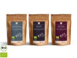 ORYOKI Grüner Tee Test-Set FLAVORS