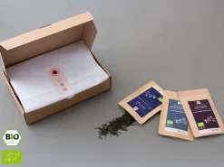 ORYOKI Grüner Tee Test-Set MIZUDASHI