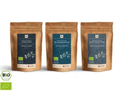 ORYOKI Grüner Tee Test-Set UMAMI