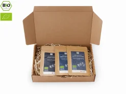 ORYOKI Grüner Tee Test-Set UMAMI