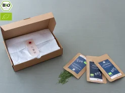 ORYOKI Grüner Tee Test-Set UMAMI