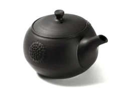 ORYOKI Japanische Hohin Teekanne, Shoho, 180 ml