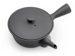 ORYOKI Japanische Kyusu Sencha 320, Banko Yaki, 320 ml, schwarz