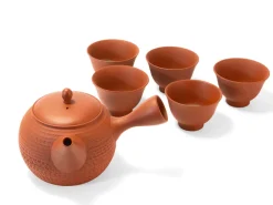 ORYOKI Japanisches Teeservice, 6-teilig, Kyusu Tokoname Tobikanna Shu