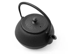 ORYOKI Japanische Teekanne Arare 0,65 L, OIGEN