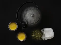 ORYOKI Japanische Teekanne Arare 0,65 L, OIGEN