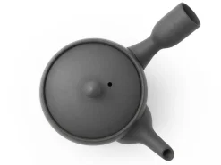ORYOKI Japanische Teekanne Fuyou Kurokusube, Banko Yaki, 190 ml