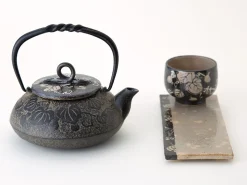 ORYOKI Japanische Teekanne Gusseisen Gourd, 0,5 L