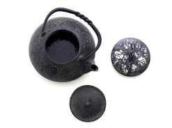 ORYOKI Japanische Teekanne Gusseisen Gourd, 0,5 L