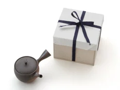 ORYOKI Japanische Teekanne Tokoname Sendan Kaku mit Geschenkbox