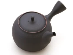 ORYOKI Japanische Teekanne Tokoname Sendan Sen Kakumit Geschenkbox