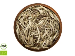 ORYOKI Jasmin Silverneedle BIO