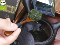 ORYOKI KEIKO Kabusecha Soshun, 50 g Frischebeutel