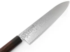 ORYOKI KYUSAKICHI ZA Damascus Gyutou 210, 69 Lagen