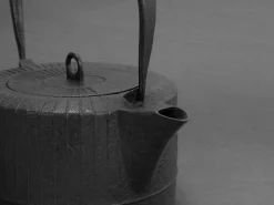 ORYOKI Nanbu Tetsubin Ray 1,6 L (IH), Saku Kiyoshige