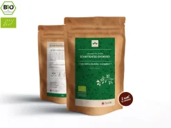 ORYOKI Schattentee Gyokuro Bio, Japan, 100 g