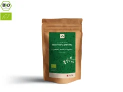 ORYOKI Schattentee Gyokuro Bio, Japan, 50 g