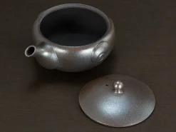 ORYOKI Shiboridashi Teekanne, Tomohiro, 150 ml