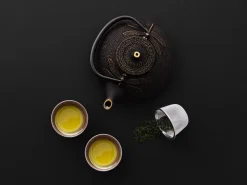 ORYOKI Teekanne Gusseisen Tonbo, 0,5 l