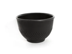 ORYOKI Teetasse Gusseisen Shin Arare, Iwachu, 100 ml