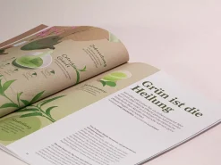 ORYOKI t - Magazin - First Flush