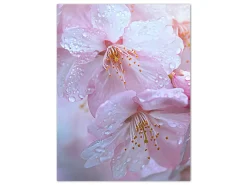 ORYOKI Wandbild Sakura #2, farbig 3:4