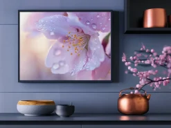 ORYOKI Wandbild Sakura #4, farbig 4:3