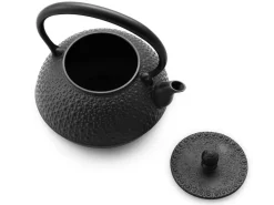 ORYOKI Wasserkessel Gusseisen 1,1 l, Tetsubin KIKKO, Iwachu